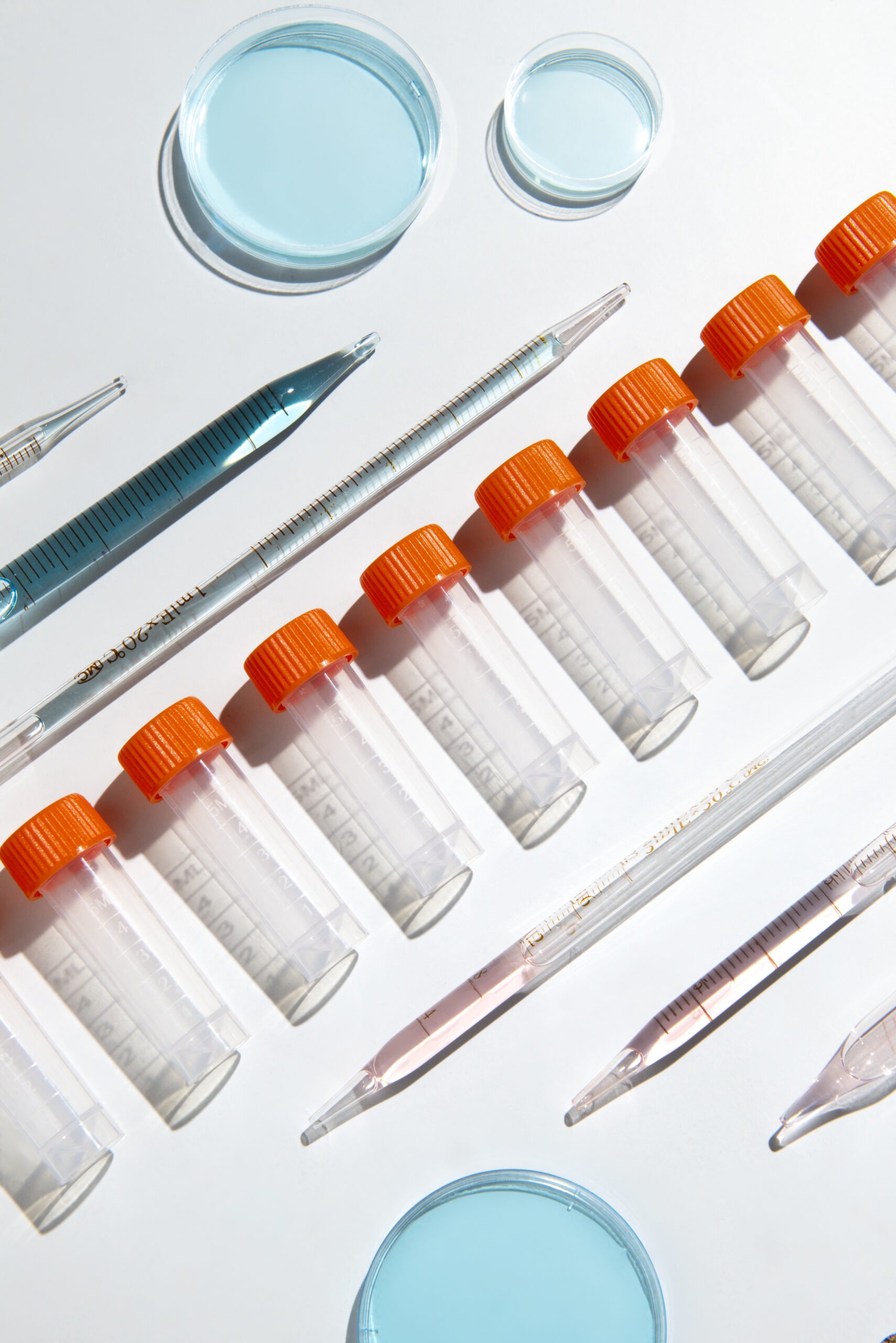 top-view-laboratory-samples-arrangement