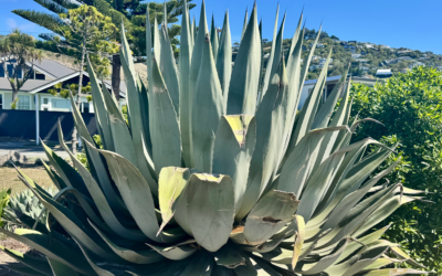 Signs of Poor Gut Health and How to Fix It