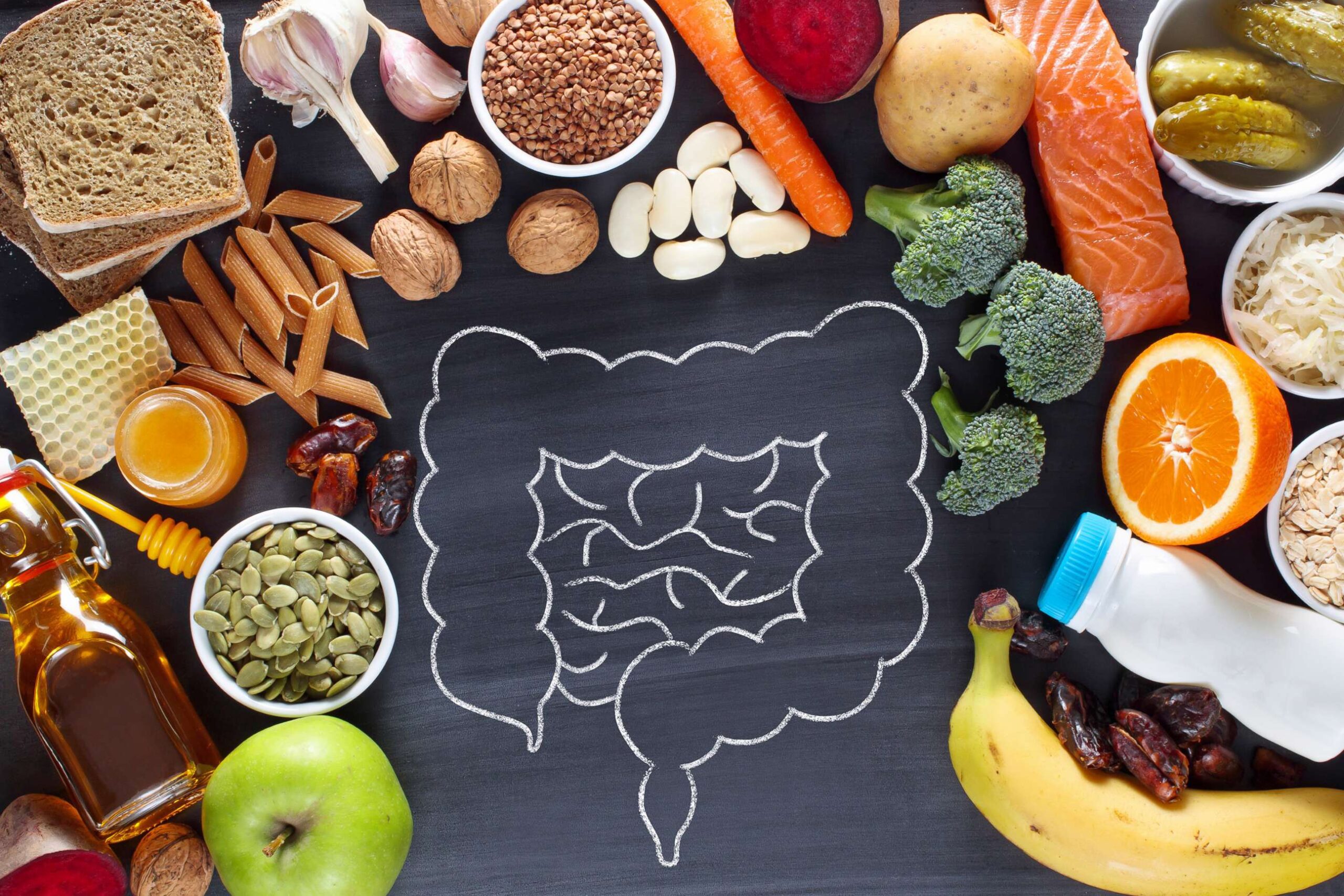 fibre food feeds gut